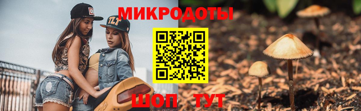 Псилоцибиновые грибы MAGIC MUSHROOMS  Вход с VPN  Южно-Сахалинск 